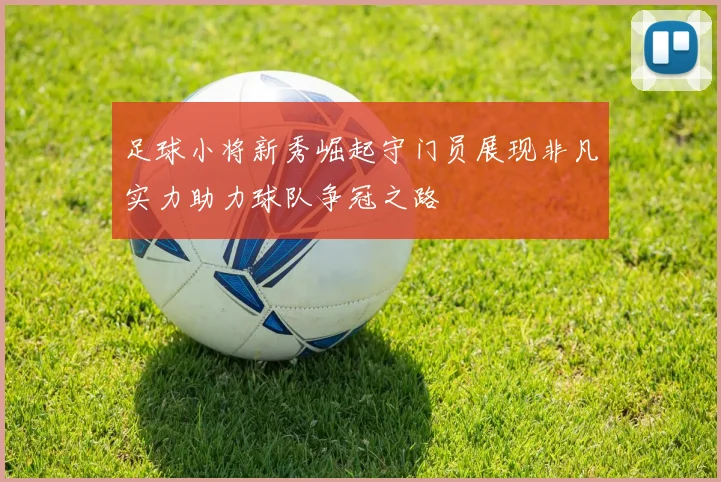 足球小将新秀崛起守门员展现非凡实力助力球队争冠之路