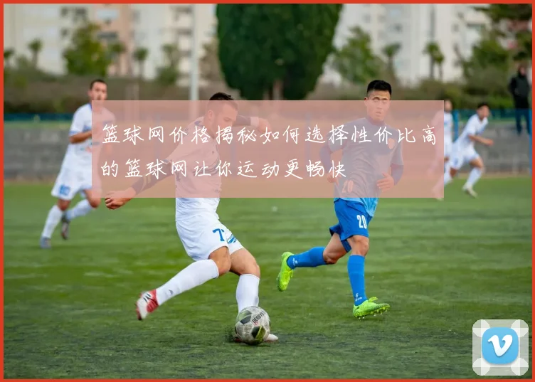 篮球网价格揭秘如何选择性价比高的篮球网让你运动更畅快