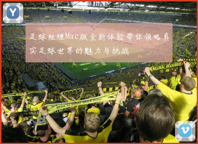 足球经理Mac版全新体验带你领略真实足球世界的魅力与挑战