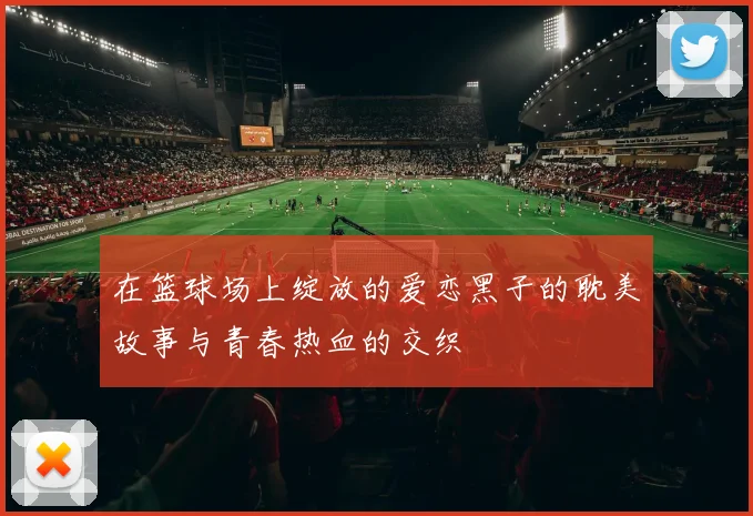 在篮球场上绽放的爱恋黑子的耽美故事与青春热血的交织