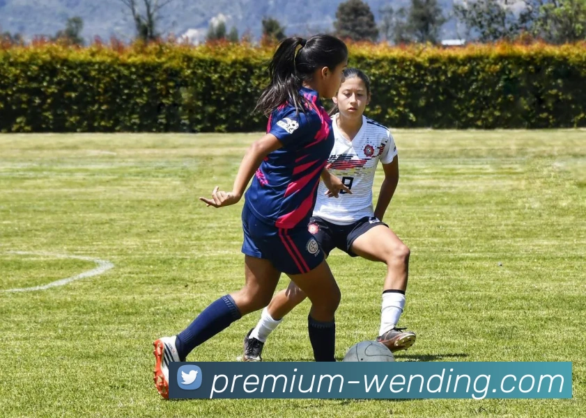 数据防护可视化